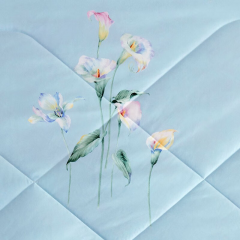 罗莱 情迷幽莲防螨抗菌夏被X 350g 200*230cm FX-QMYL200H